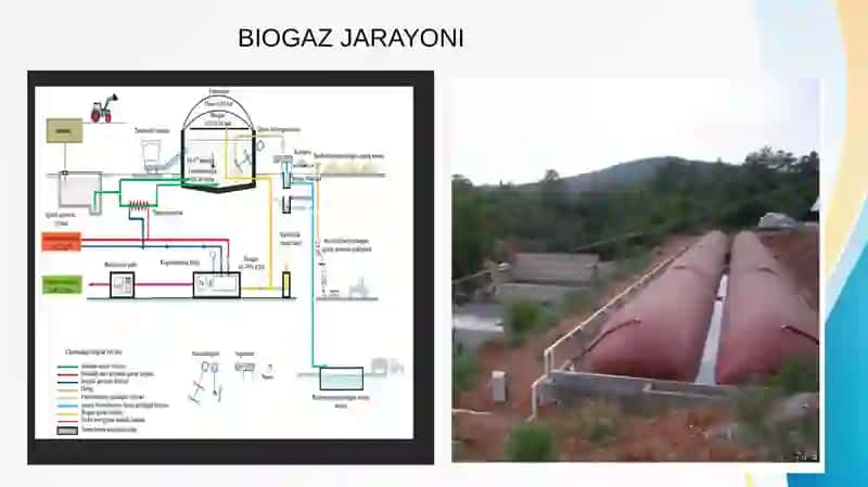Biogaz va bioo'g'it ishlab chiqarish va ekologiya 4