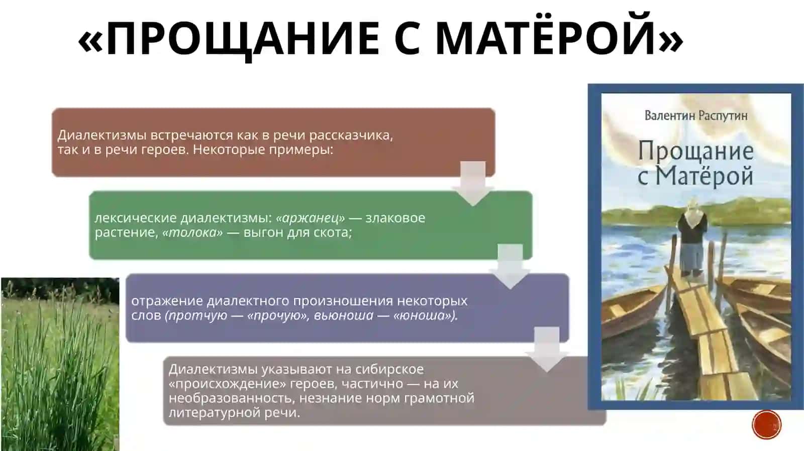 Диалектолизмы в произведениях В.Г. Распутина 4