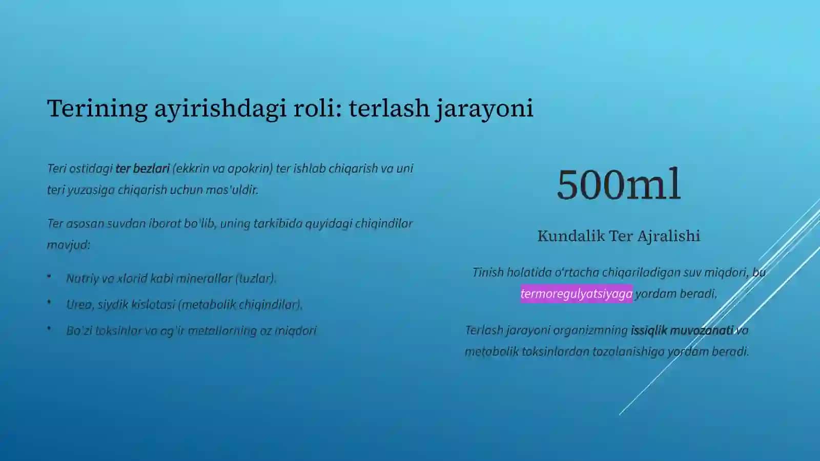 Ayirish sistemasining asosiy a'zolari 4