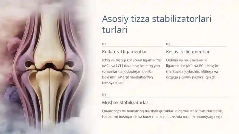 Tizza bo'g'imi stabilizatorlari: Tuzilishi va Ahmiyati 4