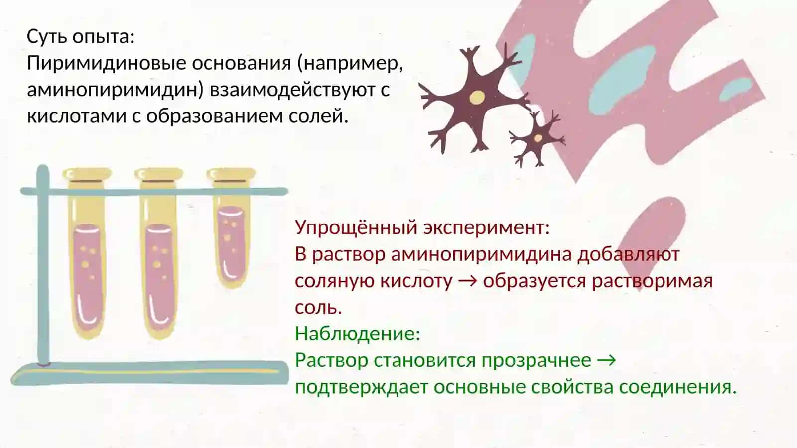Анализ производных пиримидина и триазола. Современные методы анализа витамина B1 (тиамина) 4