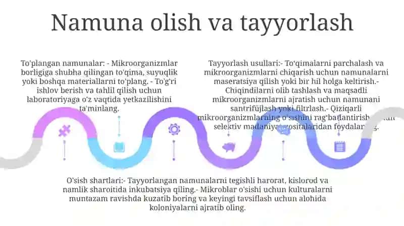 Mikroorganizmlardan Fermerlar Ajratib Olishda Ekish Materialini Tayyorlash 4