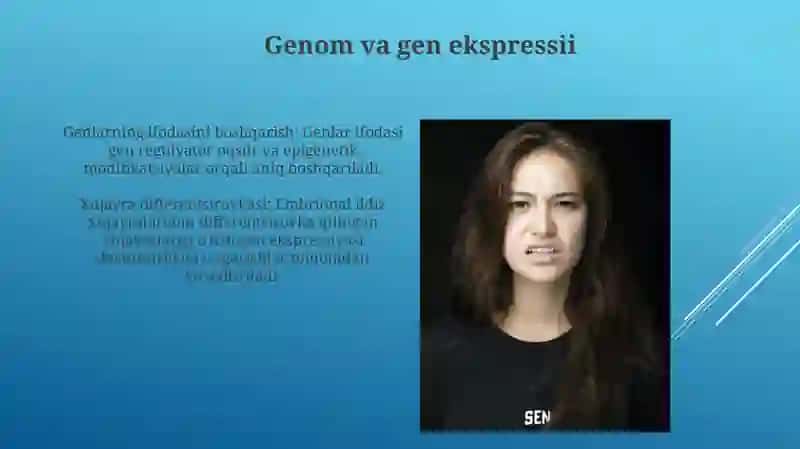 Genlar TaʼSirining Boshqarilishi, Hujayra Differensirovkasi 4