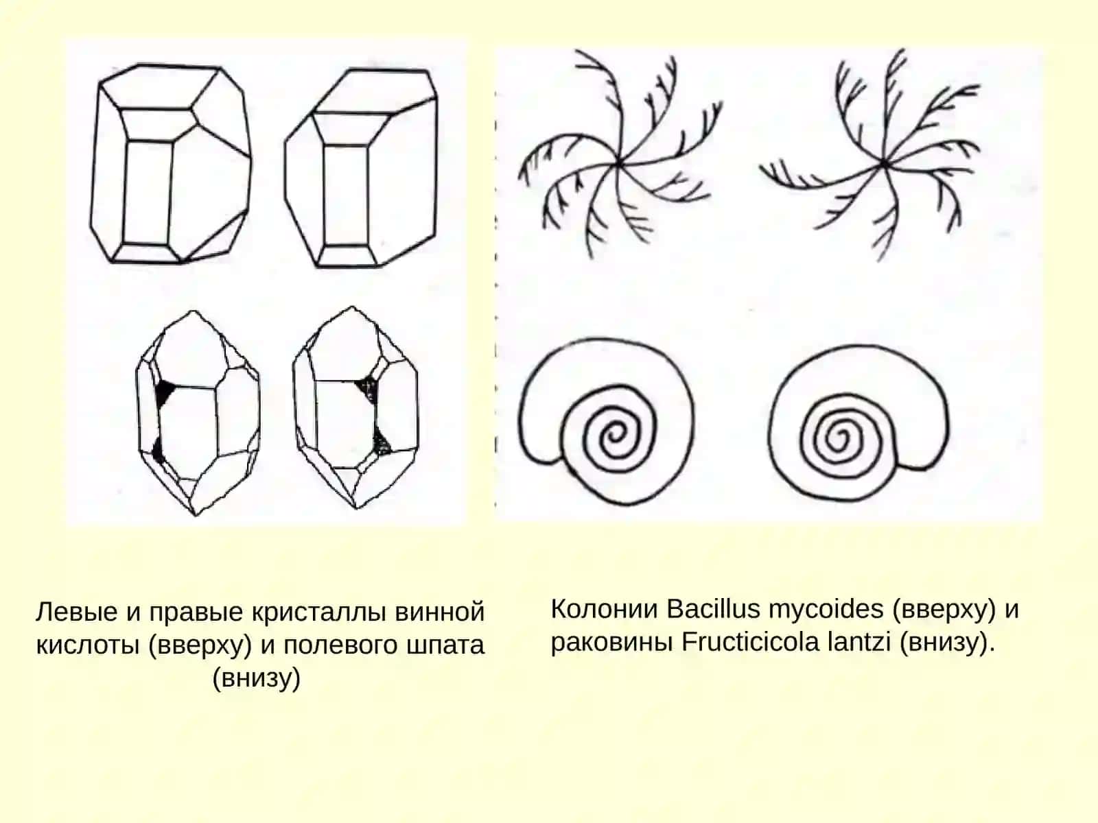 Симметрия молекул 4