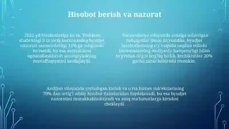 Byudjet nazoratini tashkil qilish 4