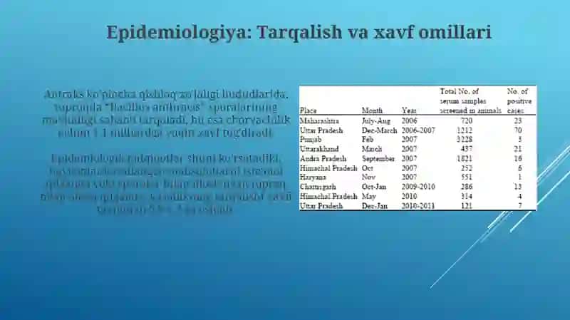 Bacillus anthracis 4