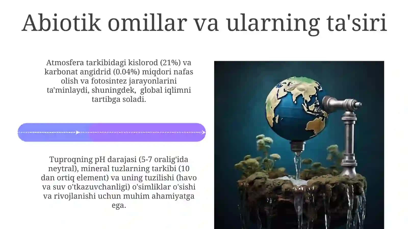Biosfera va uning qonunlari ta'rifi 4
