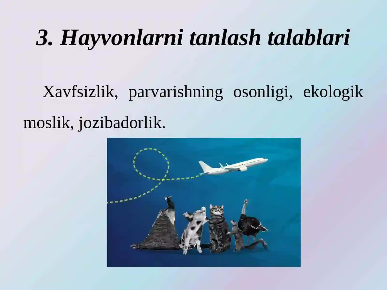 Turli yosh guruhlarida tabiat burchaklarini tashkil etishga tavsiya etiladigan o‘simliklar va hayvonlar 4