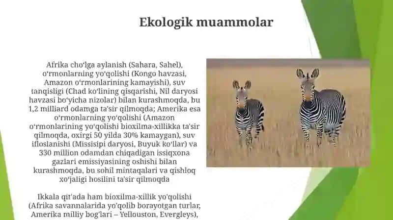 AfrikavaAmerika qitasi ning oʻxwashliklari va farqlari 4