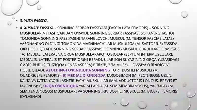 Odam anatomiyasi, oxtakafedrasi 4