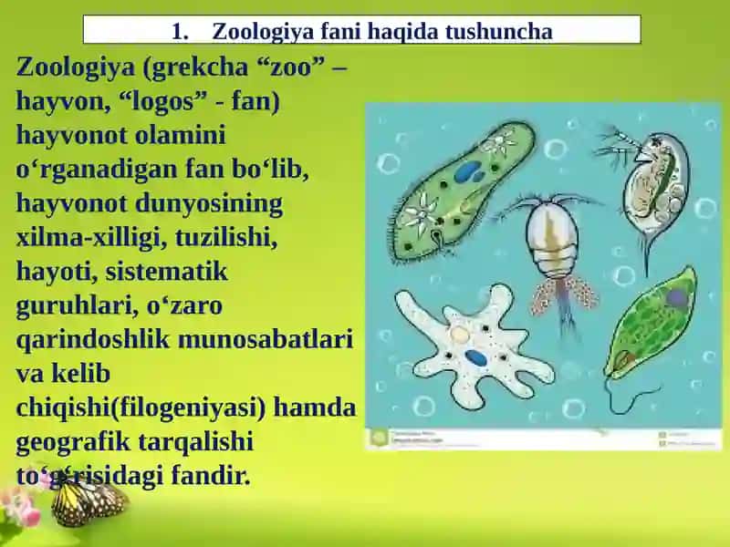 Zoologiya 1 4