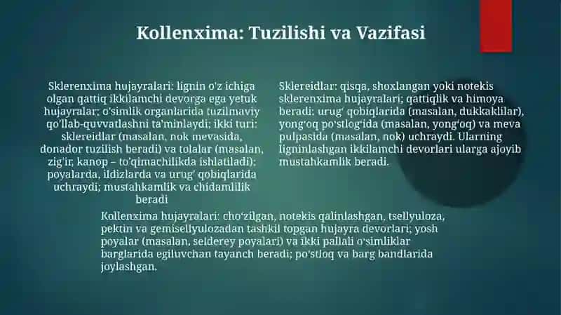 Sklerenxima va sklereidlar 4