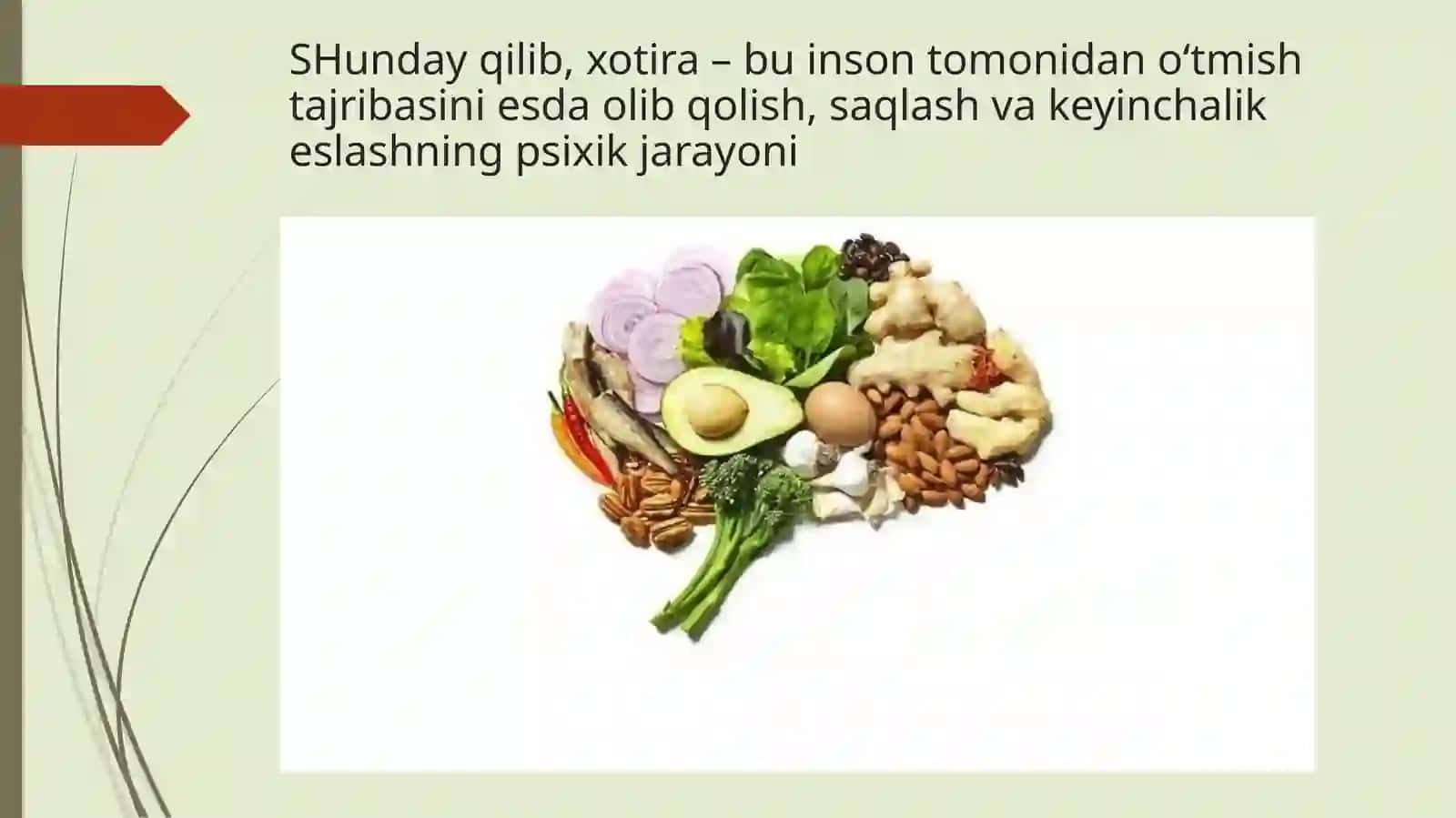 Xotira, xotiraning nerv fiziologik asoslari 4
