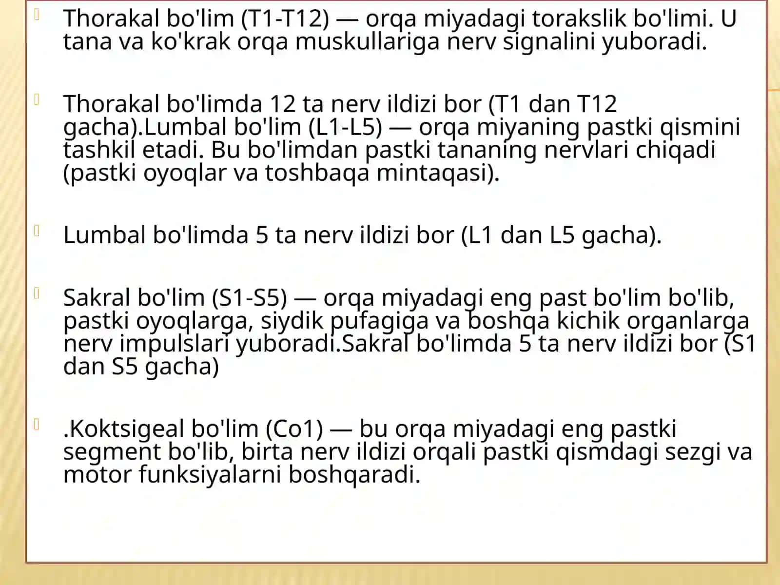Orqamiyaning joylashuvi va ahamiyati 4