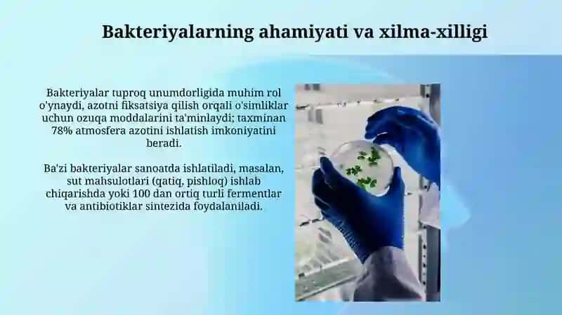Bakteriyalarning klassifikatsiyasi, taksonomiyasi va nomenklaturasi 4