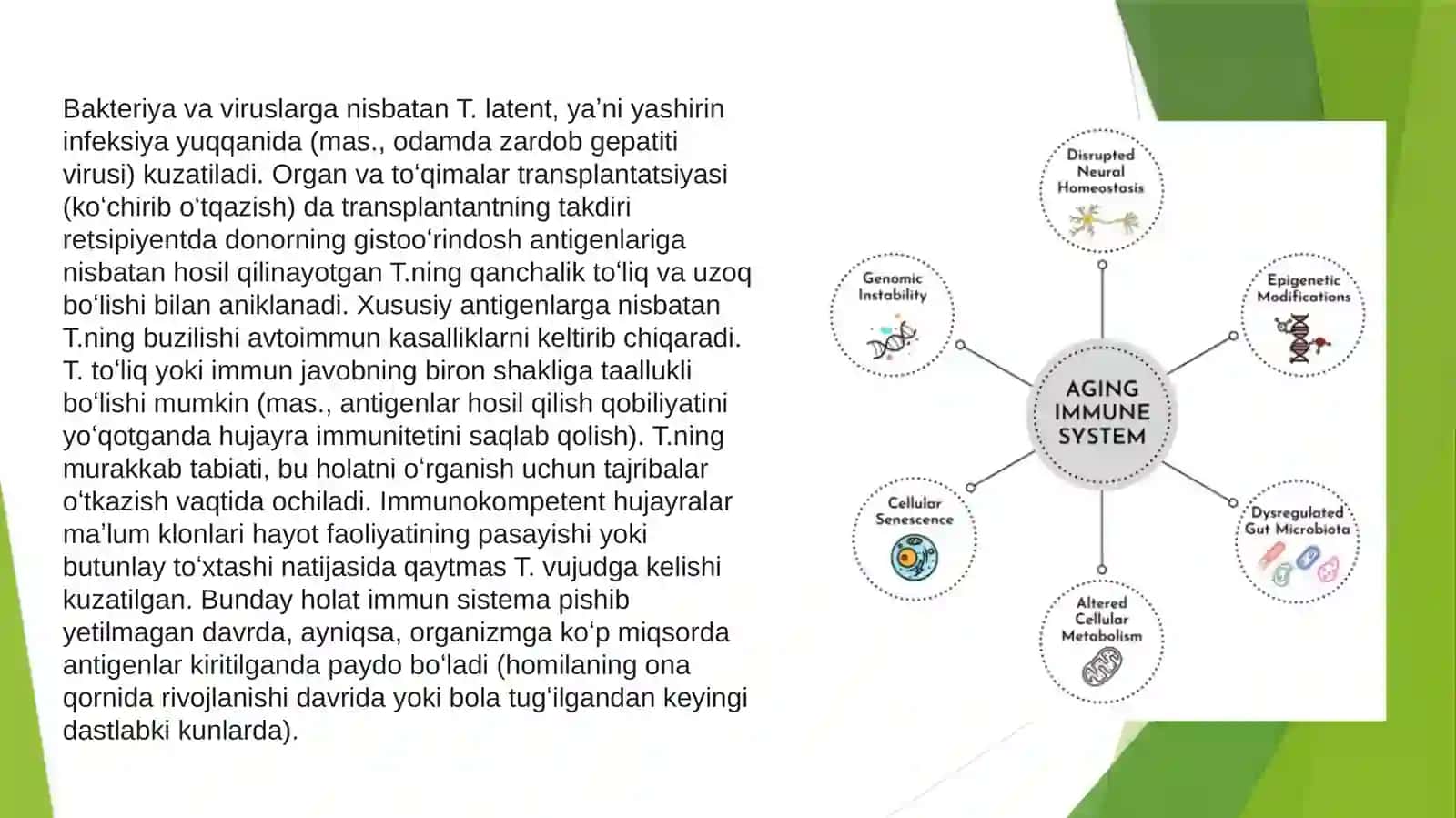 Immunologik tolerantlik nuqsonlari. Autoimmun xastaliklar 4