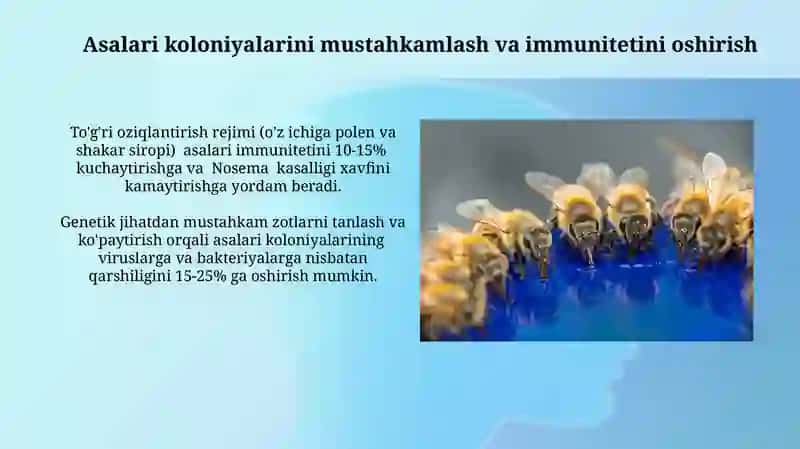 Asalarilarning invazion kasalikklariga qarshi kurash usullarini takomillashtirish 4