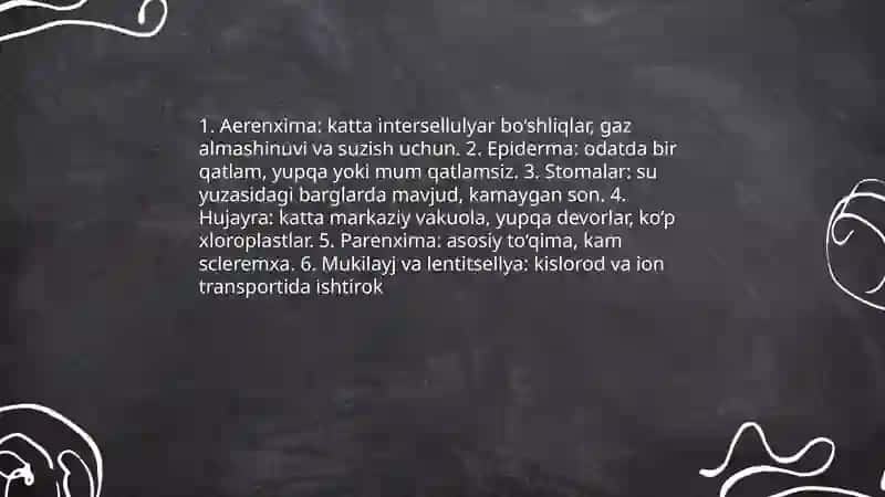 Suv o'tlarining umumiy morfologiyasi 4
