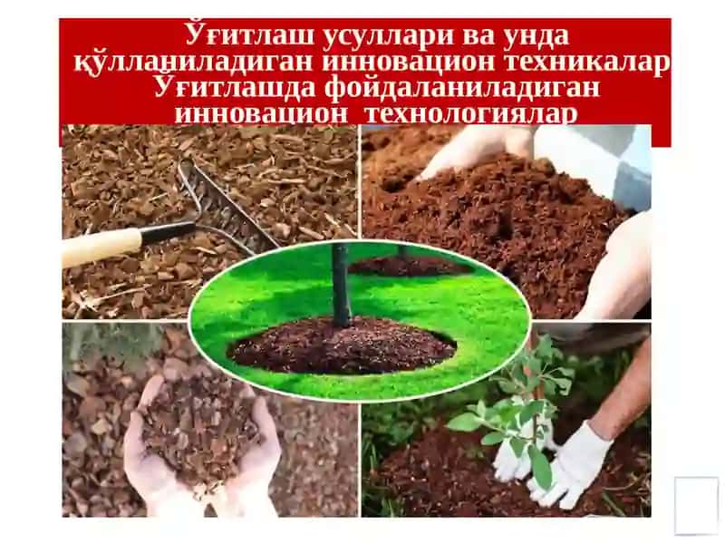 Ўғитлаш усуллари ва унда қўлланиладиган инновацион техникалар. Ўғитлашда фойдаланиладиган инновацион технологиялар 4
