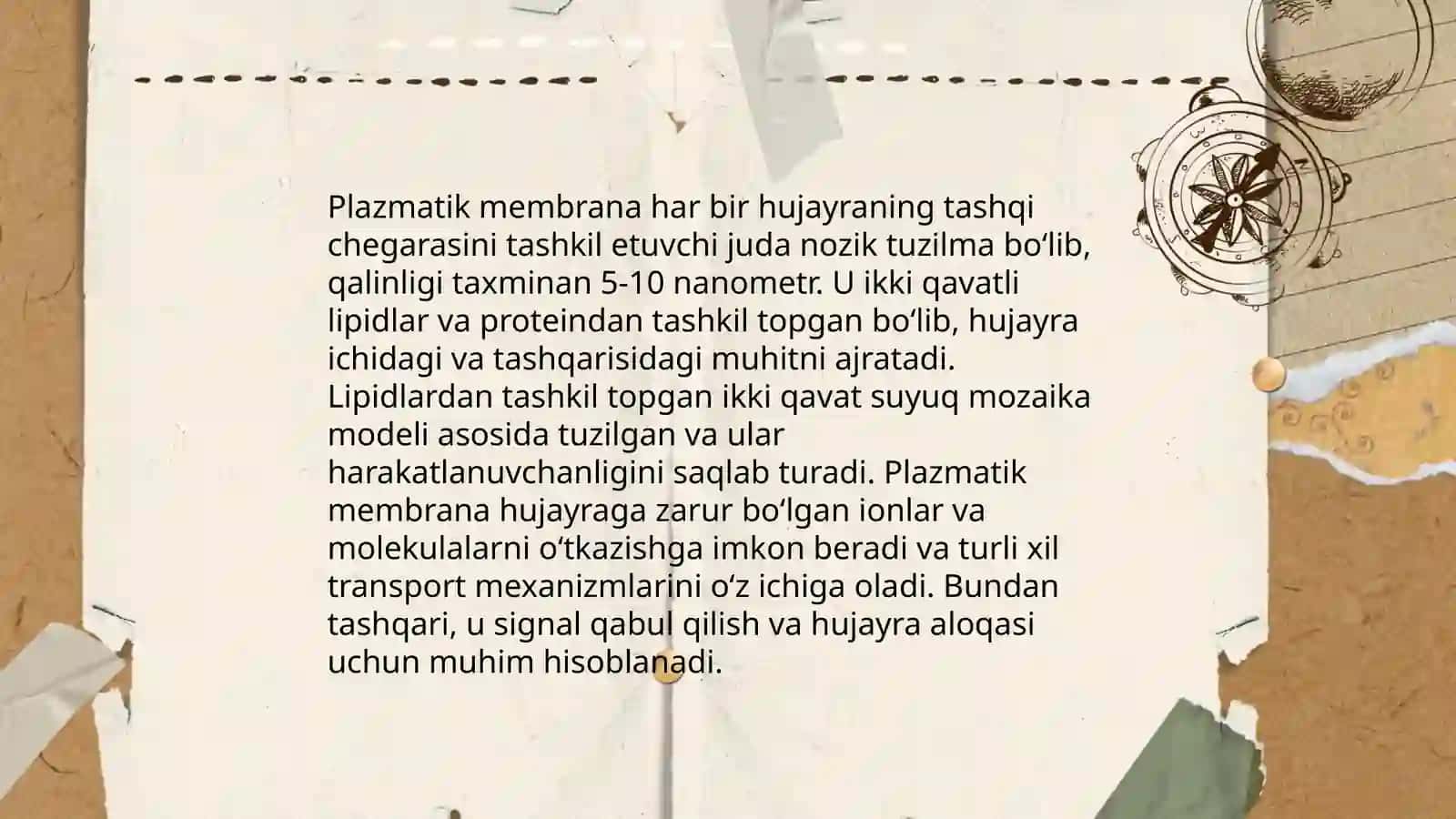 Узел живучести основы 4