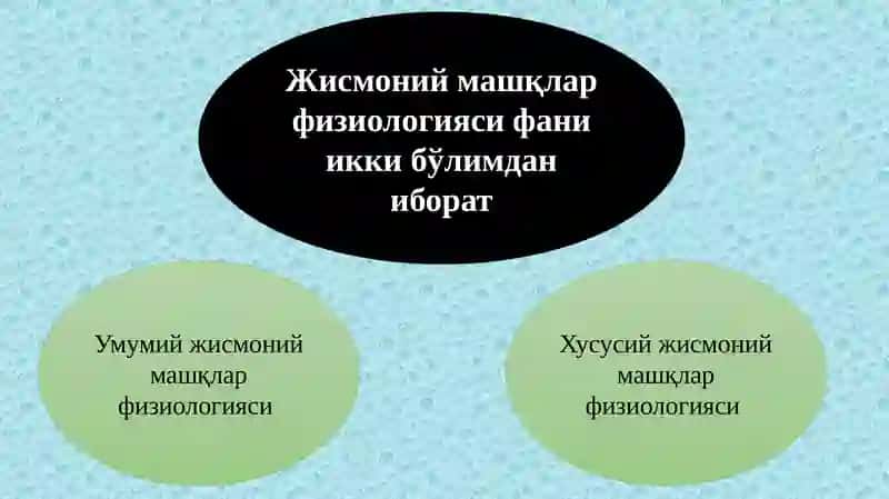 Жисмоний машқлар физиологияси 4
