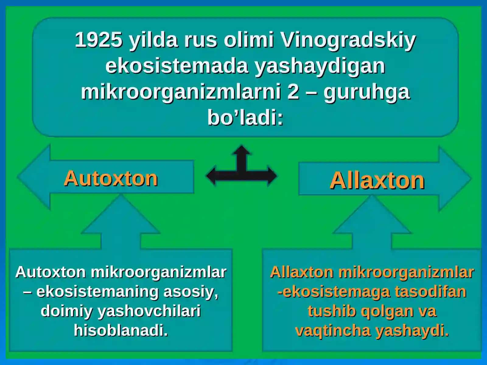 Mikroorganizmlar ekologiyasi. Odam normal mikroflorasi 4