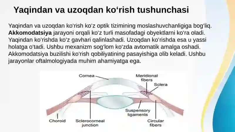 Ko’zning optik tizimi. Uzoqdan va yaqindan ko’rishning sabablari, ko’zning to’rpardasida ketadigan fotobiologik jarayonlarni tibbiyotda qo’llanilishi. Ko’zning ko’rish o’tkirligini, ko’zning ko’rish maydonini aniqlash 4