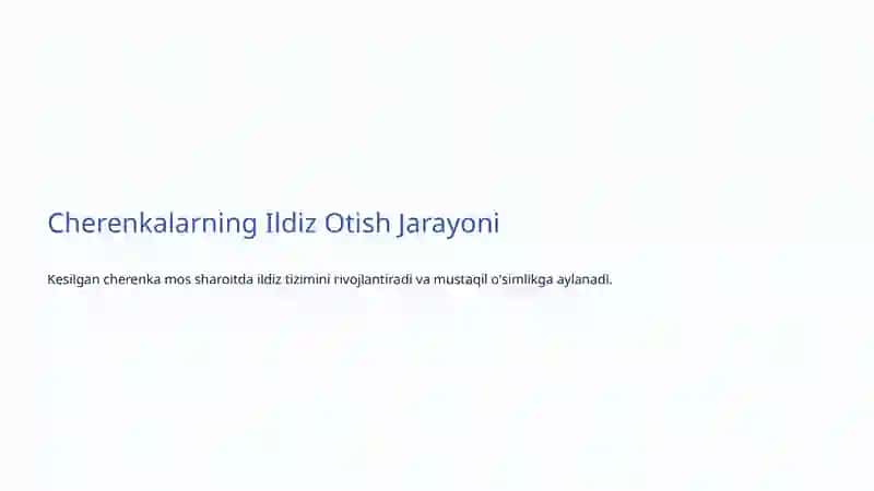 O'simliklarning Vegetativ Ko'payishi: Tabiatdagi Hayotiy Sirlar 4