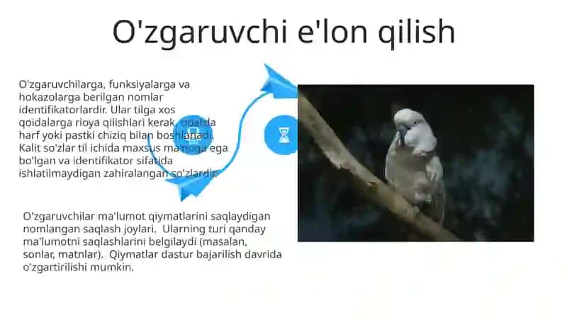 O'zgaruvchilar.Identifikatorlar va kalit so‘zlar 4