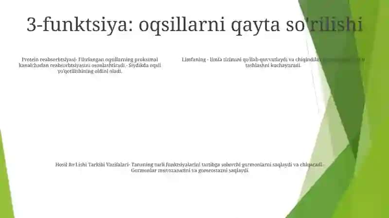 Limfaning Hosil BoʻLishi Tarkibi Vazifalari 4