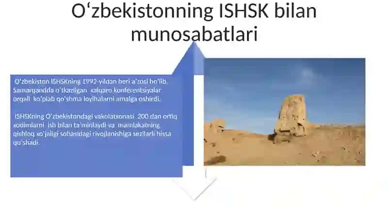 Oʻzbekiston xalqaro tashkilotlar bilan aloqalari 4