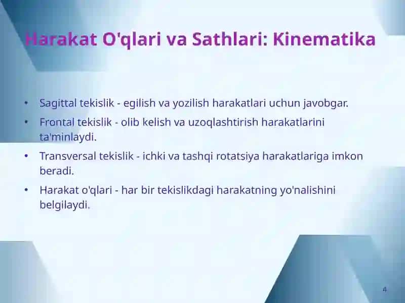 Chanoq Kamari: Tuzilishi, Harakatlari va Zamonaviy Tasvirlash Usullari 4