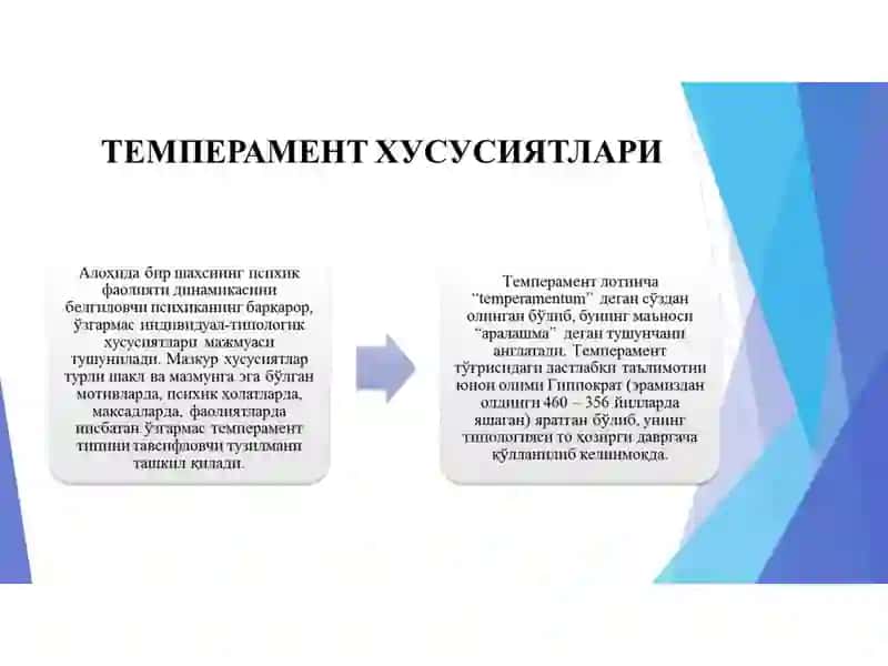 Temperament va uning nazariyalari 4