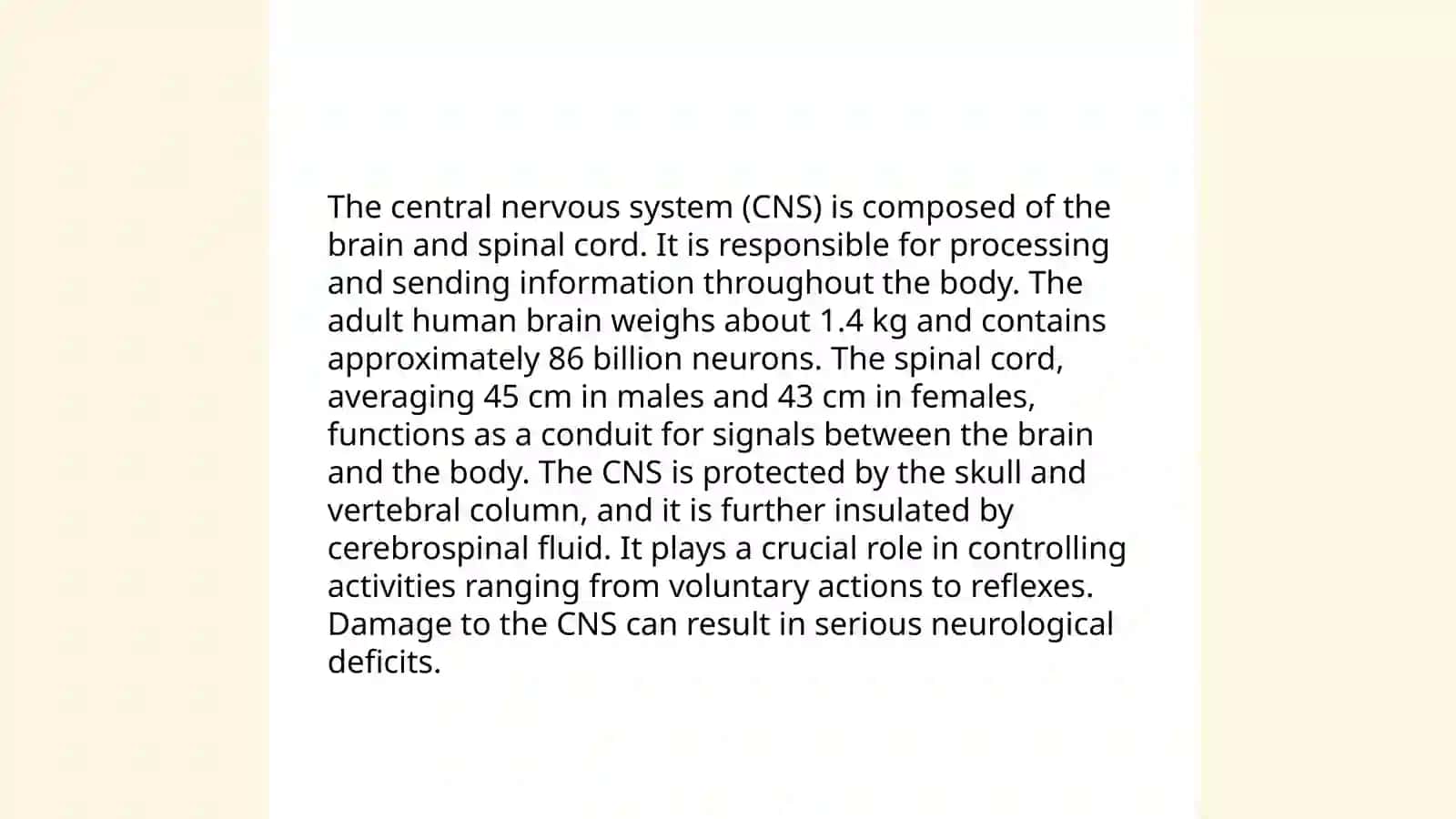 Neurons 4