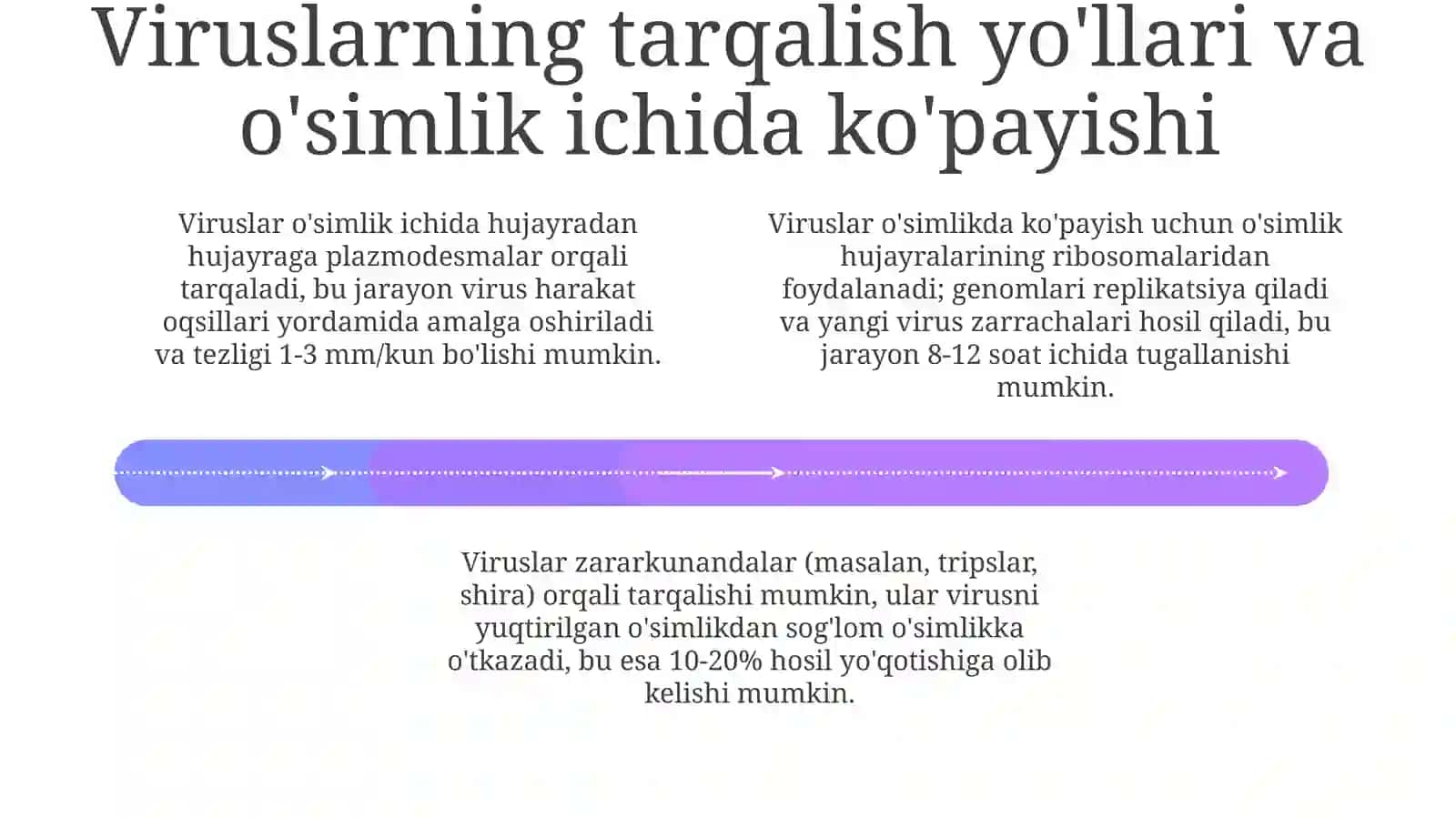 Fitopatogen viruslar keltirib chiqaradigan kasallik alomatlarini o'rganish 4