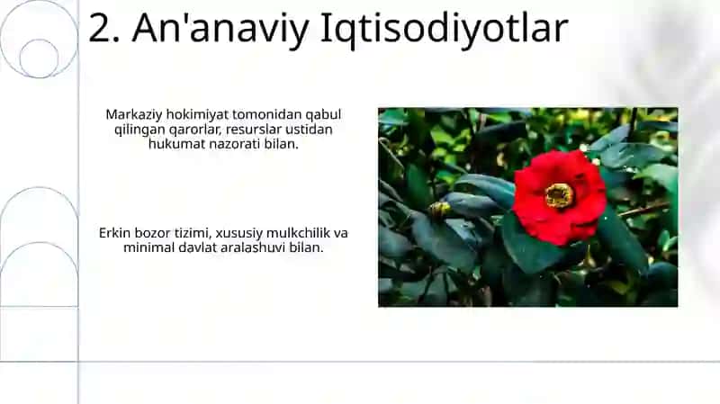 Iqtisodiy tizim turlari 4