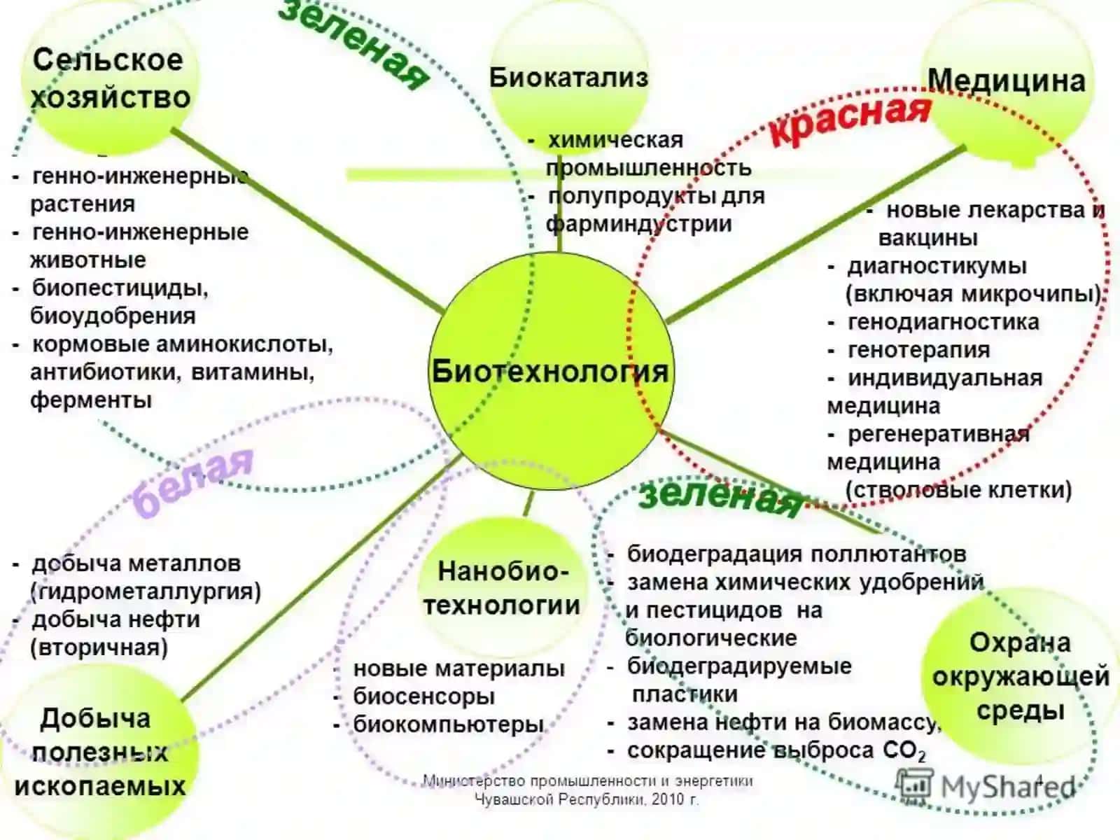Biotexnologiyaga kirish 4