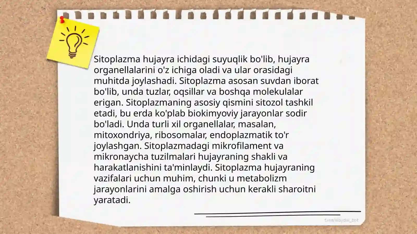 Hujayra anatomiyasi 4
