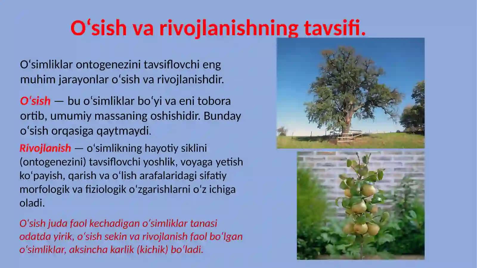 Botanika va o’simliklar fiziologiyasi 4