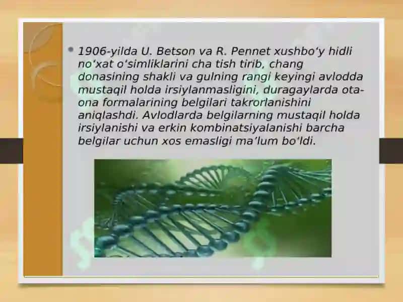 IRSIYATNING XROMASOMASI NAZARIYASI. T.G.MORGAN GENLARNING BIRIKISHI HOLATI, KROSSENGOVER. BELGILARNING JINSGA BIRIKKAN HOLDA IRSIYLANISHI 4