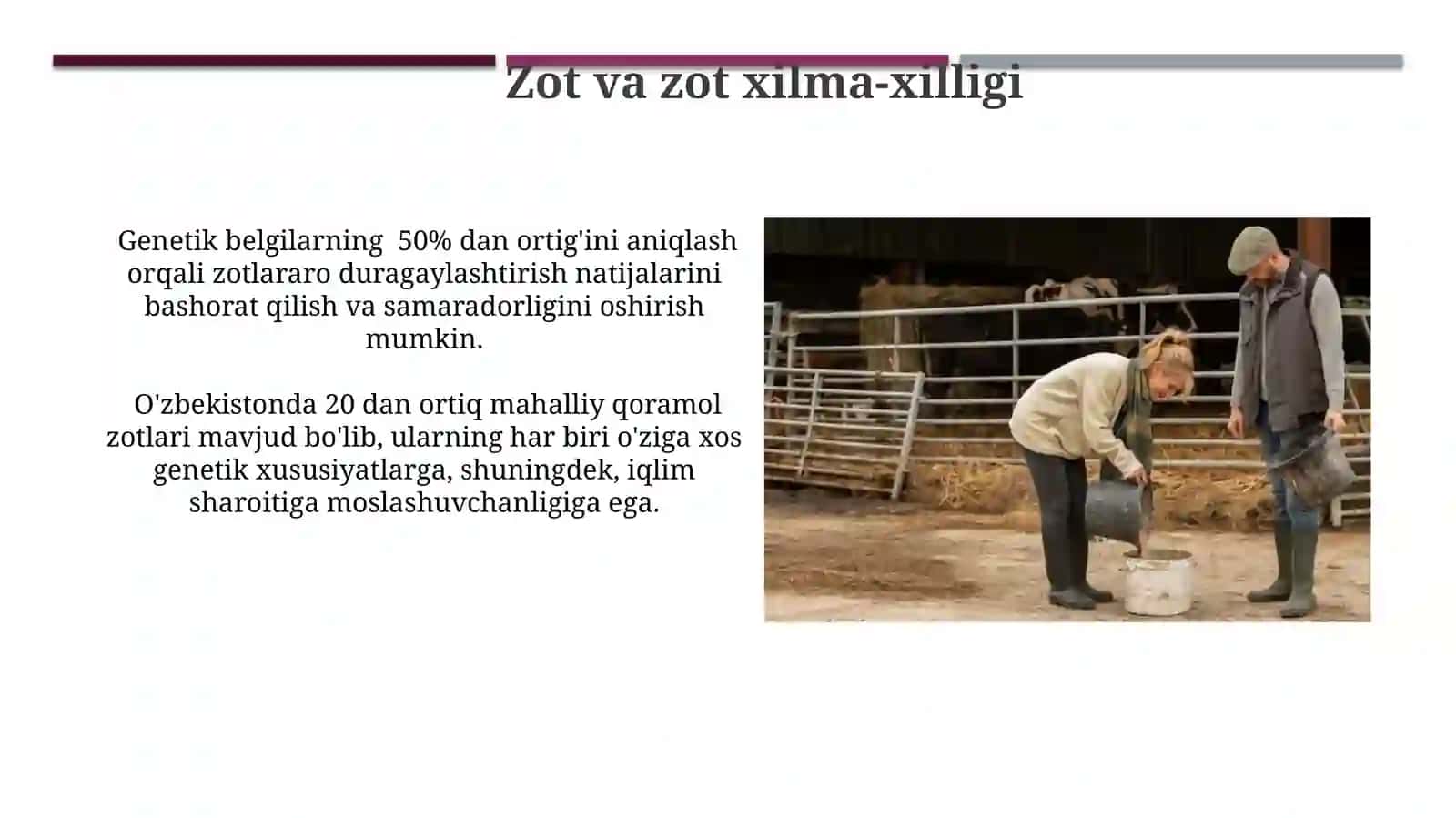 Chorvachilikda duragaylash tiplari. Nav, Navlarning xilma-xilligi. Seleksion materiallarni 4