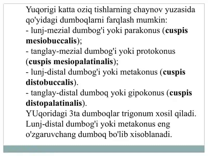 Doimiy katta oziq tishlarning anatomiyasi:umumiy tasnifi,chiqish vaqti,har bir tish tuzilishi xususiyatlari, o`zaro farqlari va anomaliyalari.Toj qismining tasnifi: yuzalari, reylefi, shakli, o`lchamlari.Toj bo`shlig`i va ildiz kanallari. 4