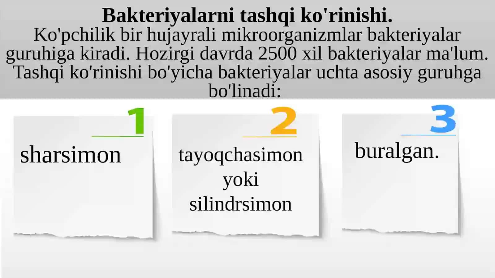 Bakteriyalarning morfologiyasi va sistematikasi 4