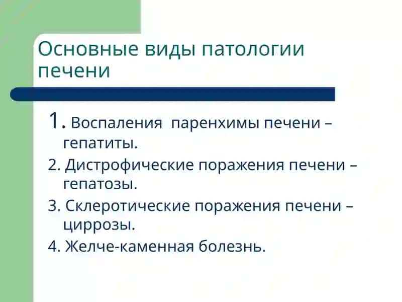 Патофизиология печени 4