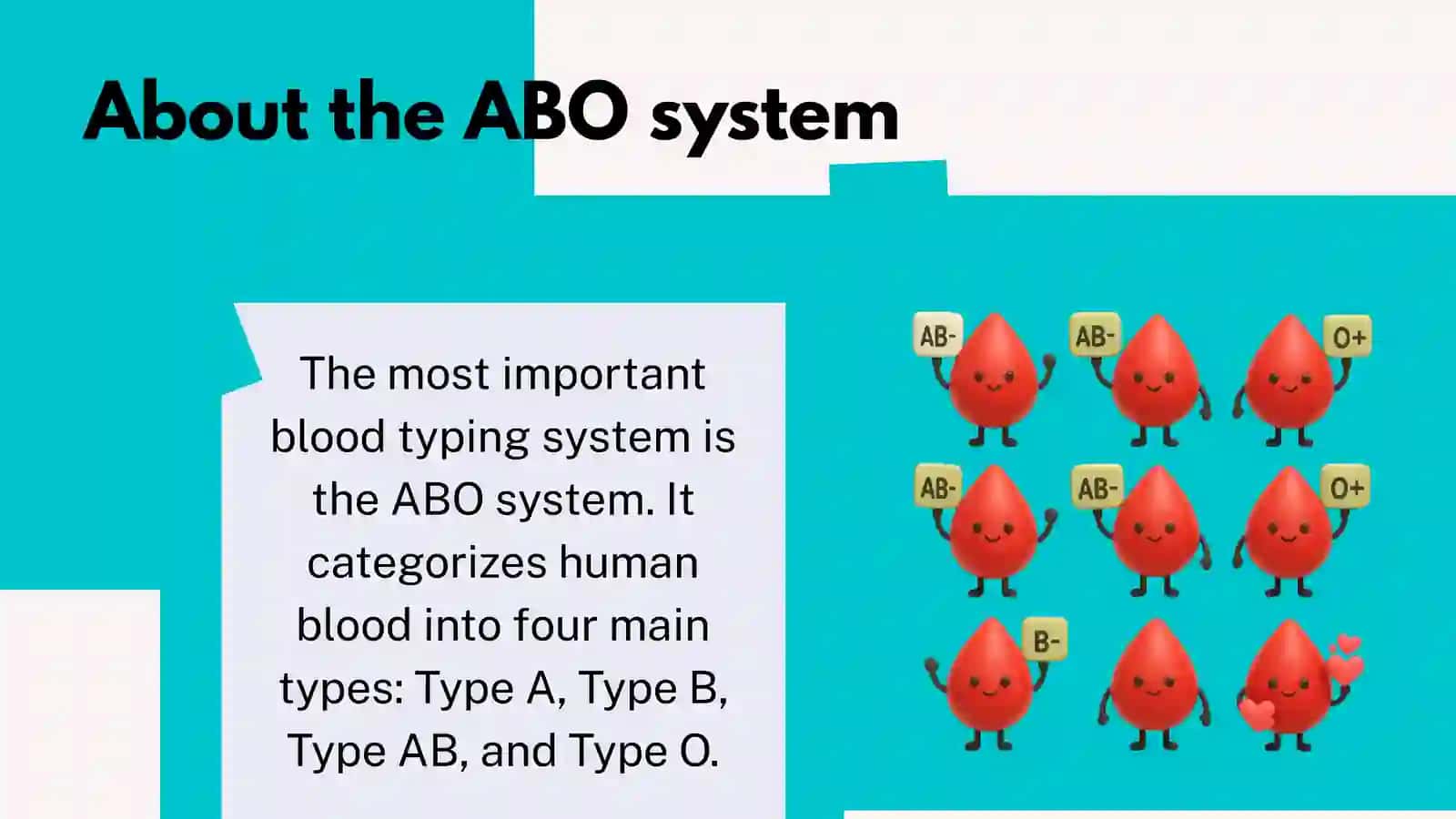 blood groups 4