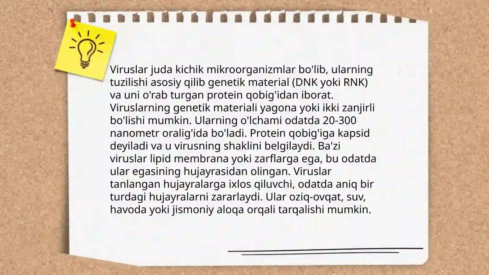 Mikroorganizmlar. Viruslar va bakteriyalar. Ularning tabiatda tarqalishi 4