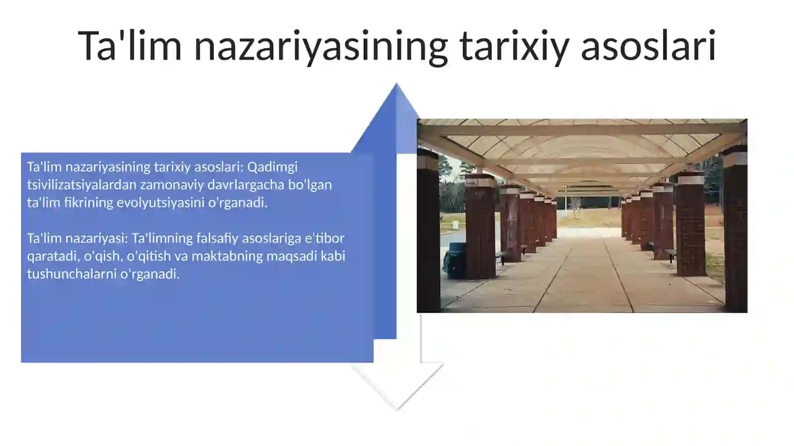 Didaktika ta'lim nazaryasi 4