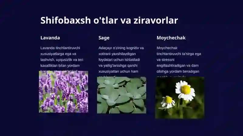 O’ZBEKISTONDA TABIIY HOIDA O’SADIGAN O'SIMLIKLARNNG DORIVORLIK XUSUSIYATLARI 4