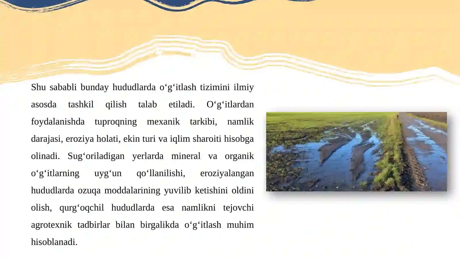 Sugʻoriladigan eroziyalangan va qurgʻoqchil mintaqalarda oʻgʻitlashtirish tizimining xususiyatlari 4