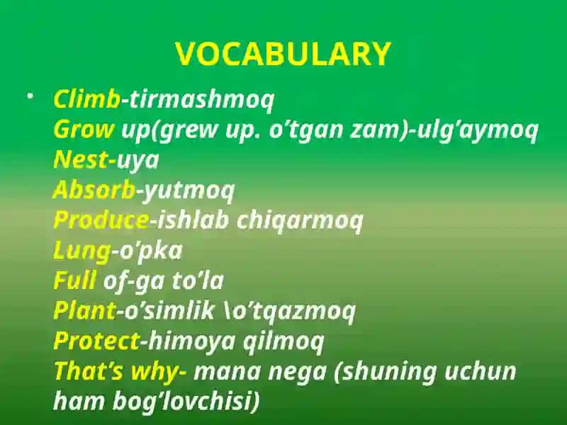 VOCABULARY 4